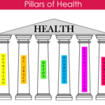 The 6 Pillars of Health