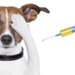 Rabies Law Amendment – We Need Your Help!